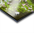 FlowersPlants 12 Acrylic print