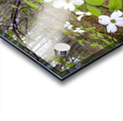 FlowersPlants 17 Acrylic print