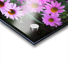FlowersPlants 37 Acrylic print