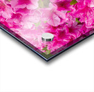 FlowersPlants 67 Acrylic print