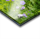 FlowersPlants 73 Acrylic print