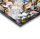 Panoramic 2 Acrylic print