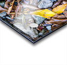 Panoramic 5 Acrylic print