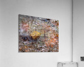 Rock in Stream  2 Acrylic Print