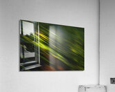Green Streak  1 Acrylic Print
