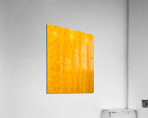 Orange Abstract  1 Acrylic Print