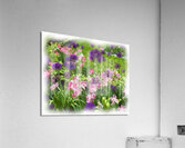 Flowers Painted 1 Acrylic Print