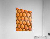 Honeycomb Acrylic Print