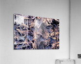 Frost Abstract  1 Acrylic Print