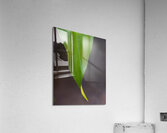 Green Plant Abstract  2 Acrylic Print