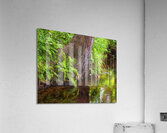 Abstract Close Up Paint 2 Acrylic Print