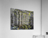 Abstract Close Up Paint 5 Acrylic Print