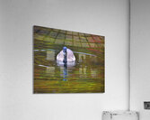 Waterfowl 33 Acrylic Print