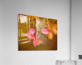 Abstract  52 Acrylic Print