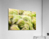 Abstract 58 Acrylic Print