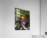 Christmas 3 Acrylic Print