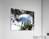 Christmas 7 Acrylic Print