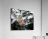 Christmas 14 Acrylic Print