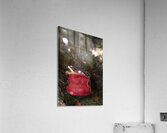 Christmas 17 Acrylic Print