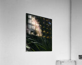 FlowersPlants 10 Acrylic Print