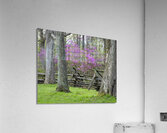 FlowersPlants 15 Acrylic Print