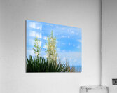 FlowersPlants 42 Acrylic Print
