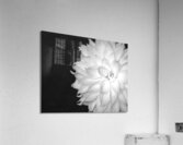 FlowersPlants 45 Acrylic Print