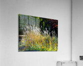 FlowersPlants 48 Acrylic Print