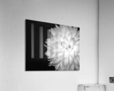 FlowersPlants 64 Acrylic Print