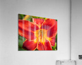 FlowersPlants 65 Acrylic Print