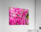 FlowersPlants 67 Acrylic Print