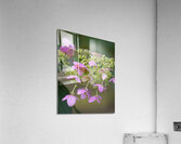 FlowersPlants 68 Acrylic Print