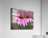 FlowersPlants 105 Acrylic Print