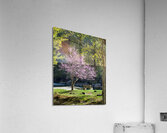 FlowersPlants 126 Acrylic Print