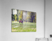 AnimalsInsects 32 Acrylic Print