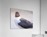 Birds 58 Acrylic Print