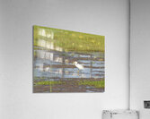 Birds 64 Acrylic Print