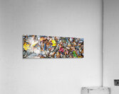 Panoramic 1 Acrylic Print