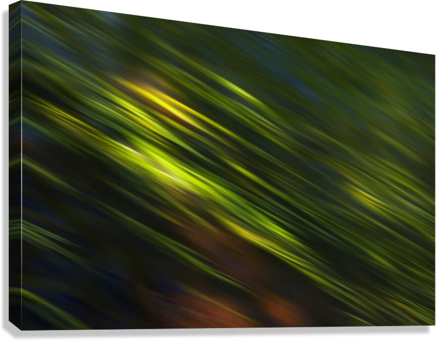 Green Streak  1 Canvas Print