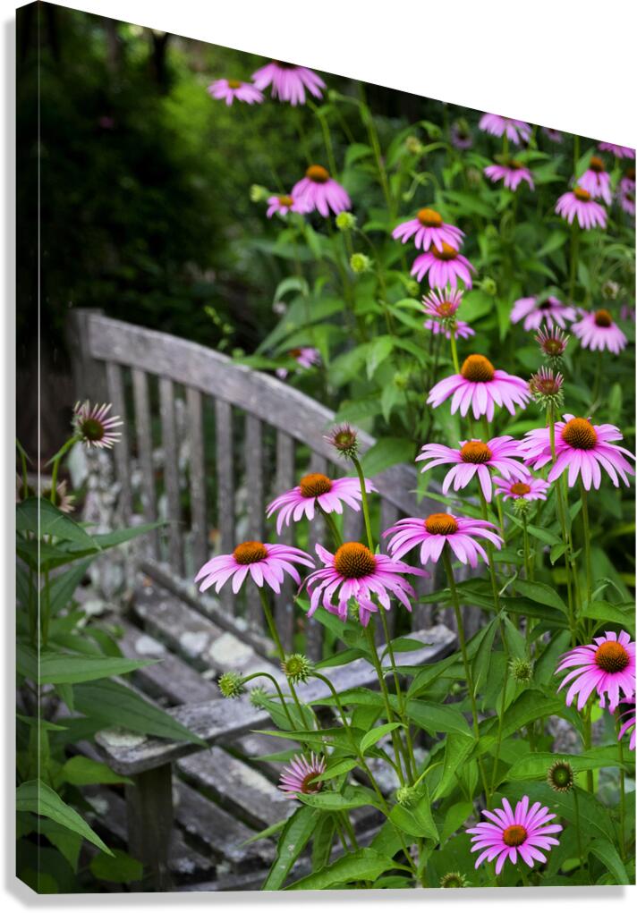FlowersPlants 24 Canvas Print