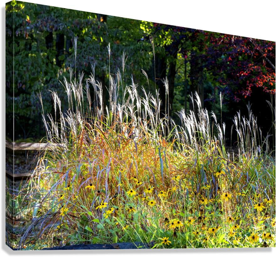 FlowersPlants 48 Canvas Print