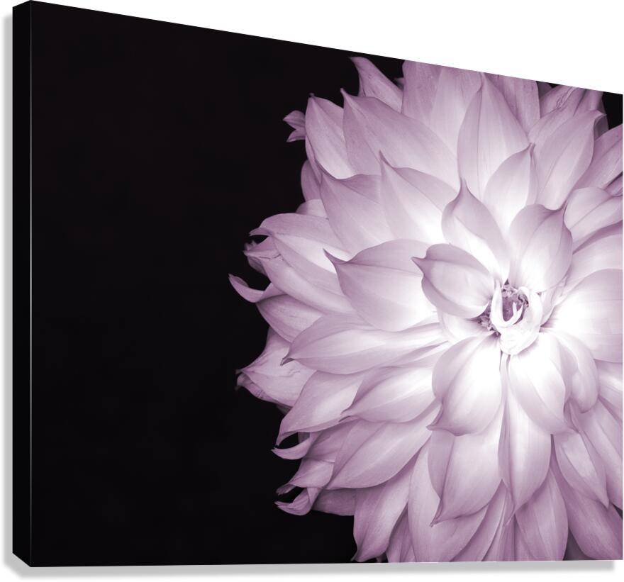 FlowersPlants 86 Canvas Print