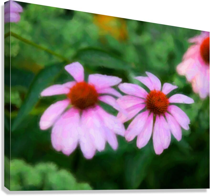 FlowersPlants 124 Canvas Print