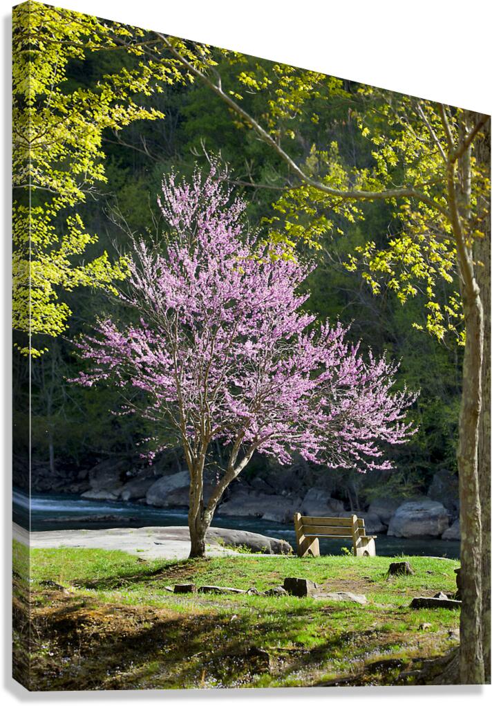 FlowersPlants 126 Canvas Print