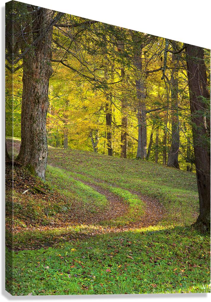 CountryAmericana 191 Canvas Print