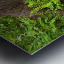 Abstract Close Up Paint 2 Metal print