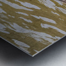 Waterfowl 2 Metal print