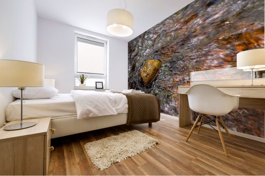 Rock in Stream  2 Mural print