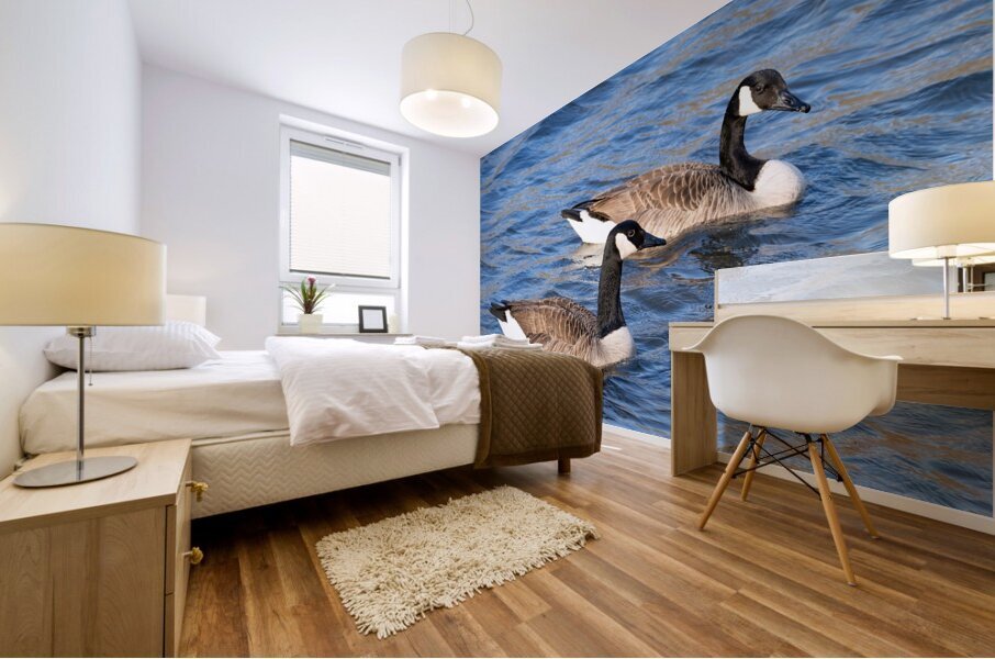 Waterfowl 29 Mural print