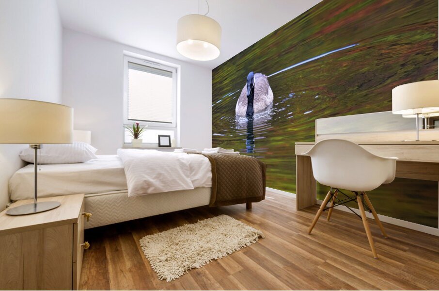 Waterfowl 33 Mural print